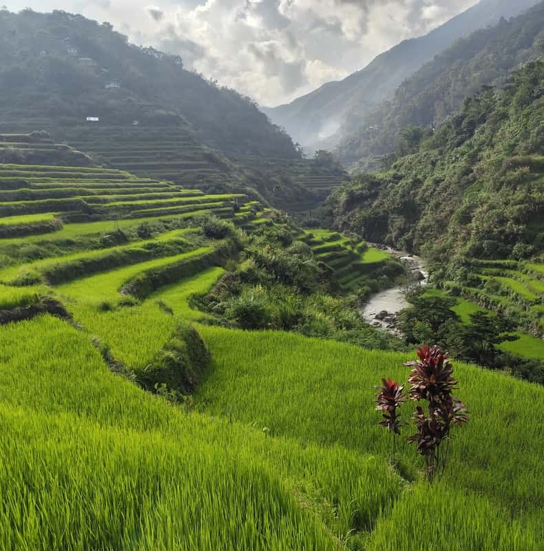 Banaue-Batad: 3-Days Guided Trek with Meals & Accommodation