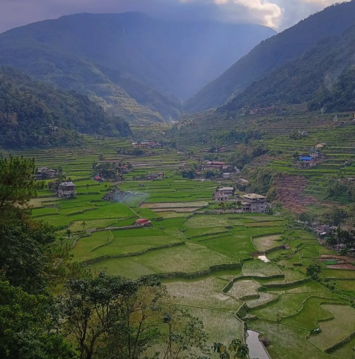 Banaue Rice Terraces, Sagada or Baguio: Which Cordillera Trip Suits You?