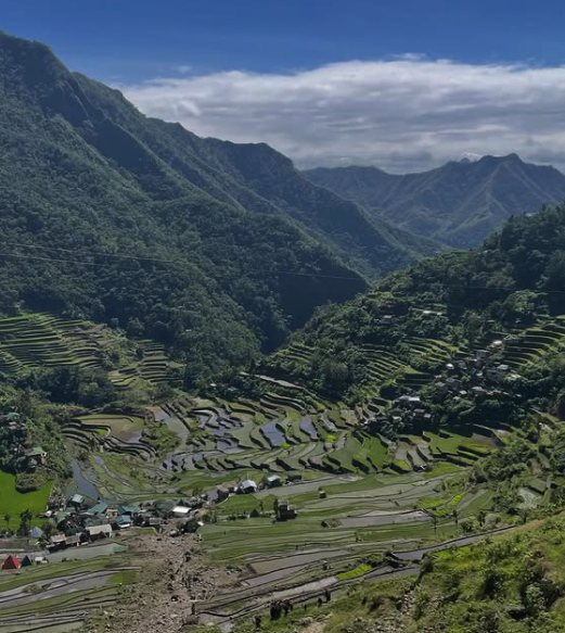 Banaue Rice Terraces Tour Packages: What $215 to $815 Buys